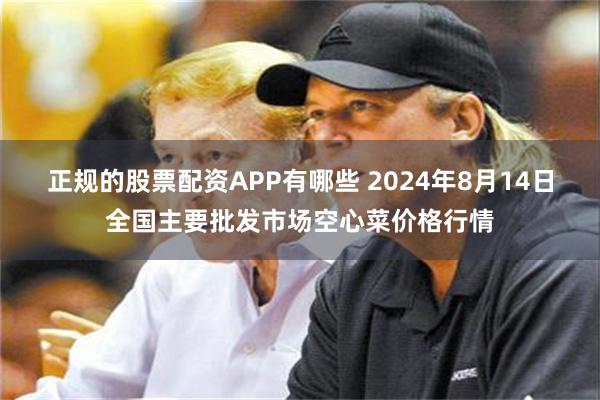正规的股票配资APP有哪些 2024年8月14日全国主要批发市场空心菜价格行情