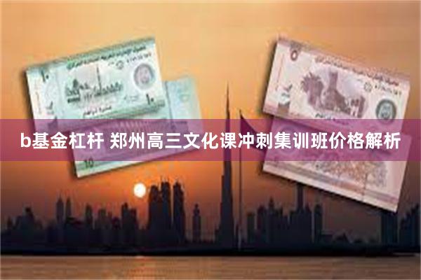 b基金杠杆 郑州高三文化课冲刺集训班价格解析