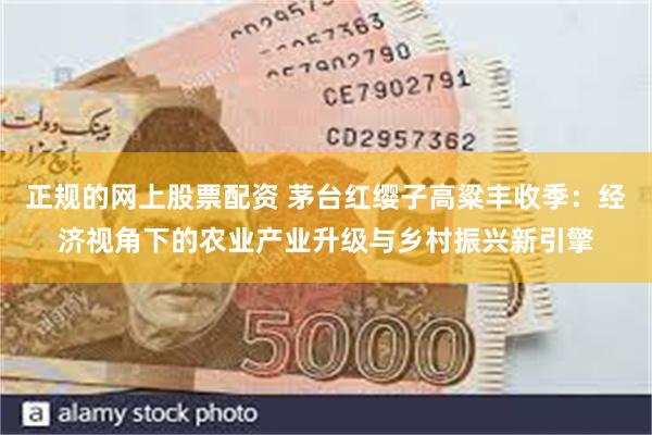 正规的网上股票配资 茅台红缨子高粱丰收季：经济视角下的农业产业升级与乡村振兴新引擎