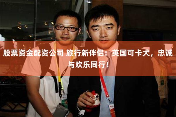 股票资金配资公司 旅行新伴侣：英国可卡犬，忠诚与欢乐同行！