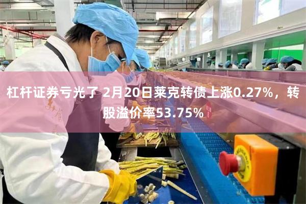 杠杆证券亏光了 2月20日莱克转债上涨0.27%，转股溢价率53.75%