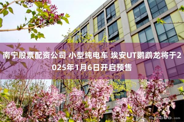 南宁股票配资公司 小型纯电车 埃安UT鹦鹉龙将于2025年1月6日开启预售