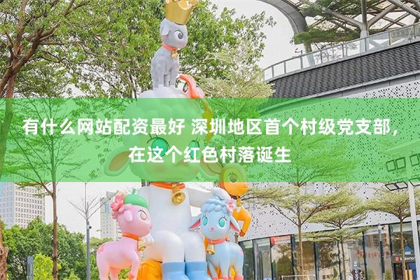 有什么网站配资最好 深圳地区首个村级党支部，在这个红色村落诞