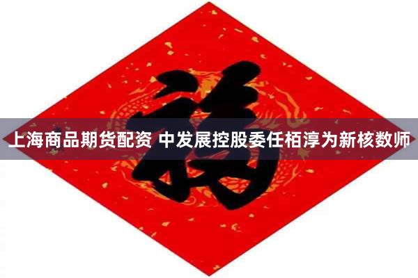 上海商品期货配资 中发展控股委任栢淳为新核数师