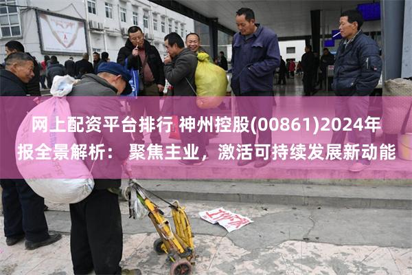 网上配资平台排行 神州控股(00861)2024年报全景解析