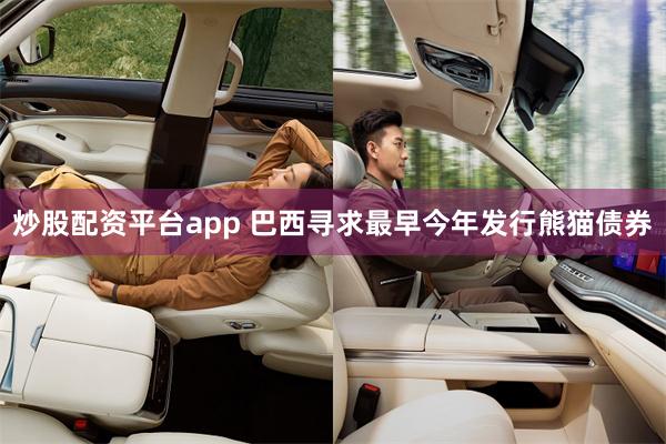 炒股配资平台app 巴西寻求最早今年发行熊猫债券