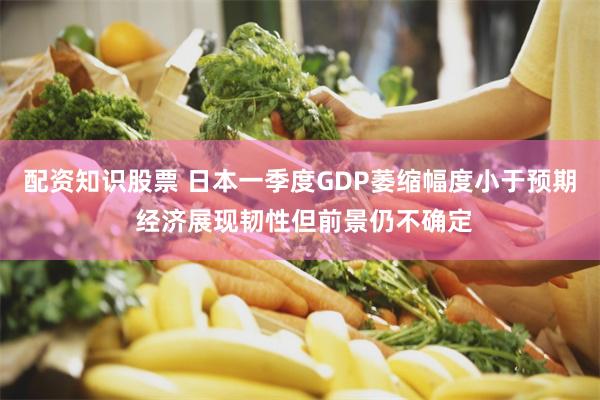 配资知识股票 日本一季度GDP萎缩幅度小于预期 经济展现韧性