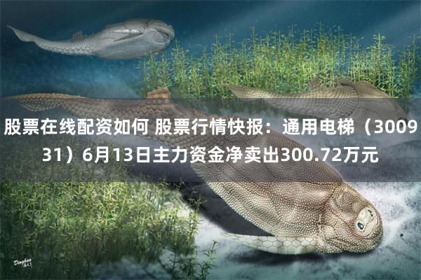 股票在线配资如何 股票行情快报：通用电梯（300931）6月