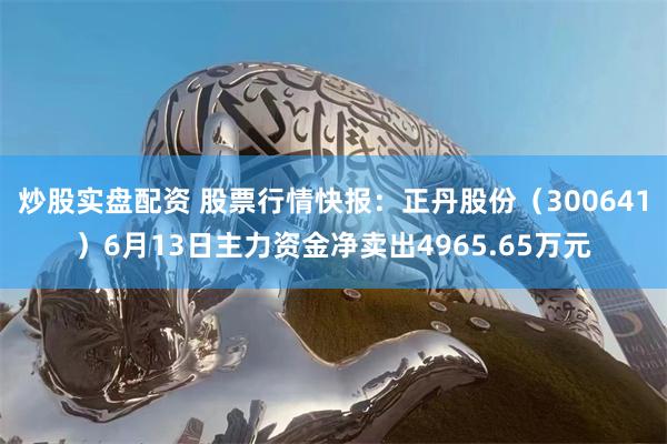 炒股实盘配资 股票行情快报：正丹股份（300641）6月13