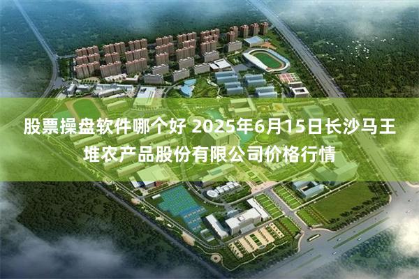 股票操盘软件哪个好 2025年6月15日长沙马王堆农产品股份有限公司价格行情