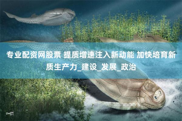 专业配资网股票 提质增速注入新动能 加快培育新质生产力_建设