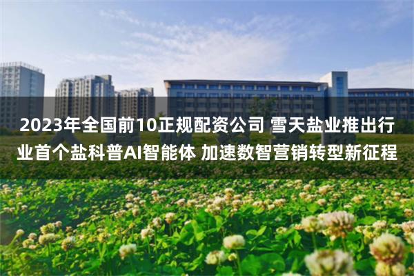 2023年全国前10正规配资公司 雪天盐业推出行业首个盐科普