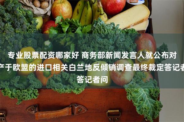 专业股票配资哪家好 商务部新闻发言人就公布对原产于欧盟的进口