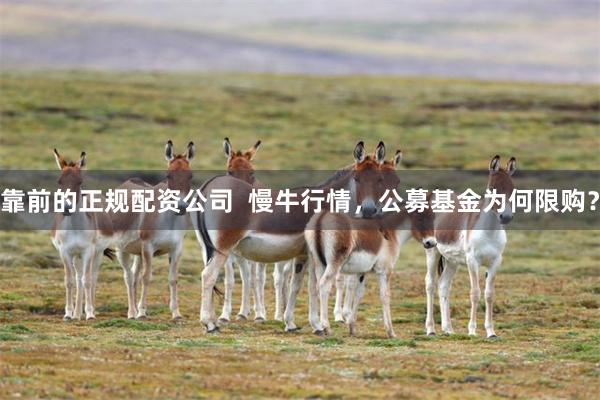 靠前的正规配资公司  慢牛行情，公募基金为何限购？