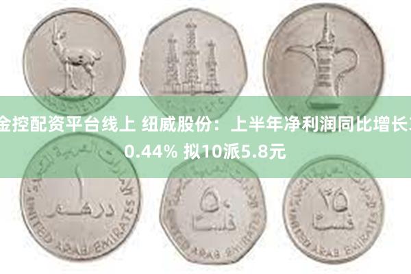 金控配资平台线上 纽威股份：上半年净利润同比增长30.44%