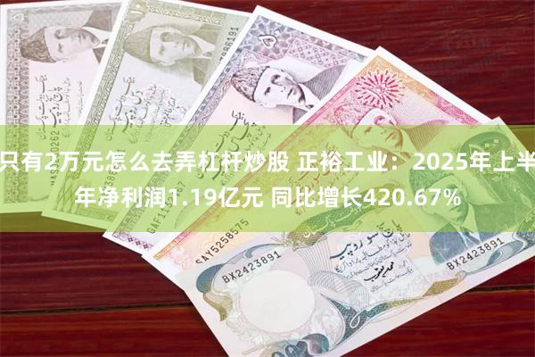 只有2万元怎么去弄杠杆炒股 正裕工业：2025年上半年净利润