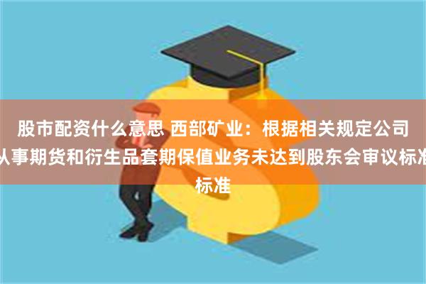 股市配资什么意思 西部矿业：根据相关规定公司从事期货和衍生品套期保值业务未达到股东会审议标准