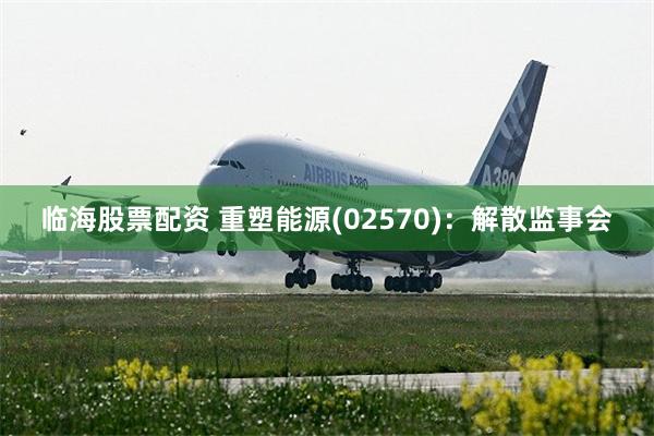 临海股票配资 重塑能源(02570)：解散监事会
