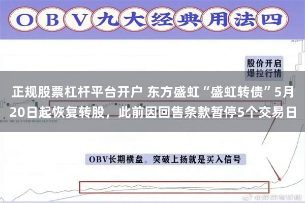 正规股票杠杆平台开户 东方盛虹“盛虹转债”5月20日起恢复转股，此前因回售条款暂停5个交易日