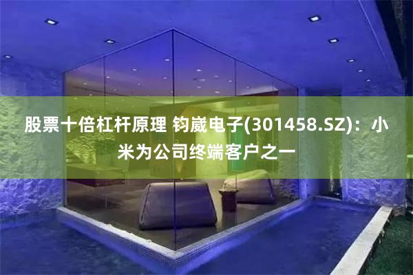股票十倍杠杆原理 钧崴电子(301458.SZ)：小米为公司终端客户之一