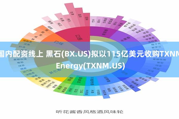 国内配资线上 黑石(BX.US)拟以115亿美元收购TXNM Energy(TXNM.US)