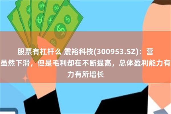 股票有杠杆么 震裕科技(300953.SZ)：营业收入虽然下滑，但是毛利却在不断提高，总体盈利能力有所增长