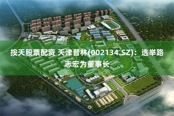 按天股票配资 天津普林(002134.SZ)：选举路志宏为董事长