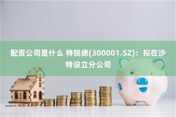 配资公司是什么 特锐德(300001.SZ)：拟在沙特设立分公司