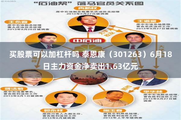 买股票可以加杠杆吗 泰恩康（301263）6月18日主力资金净卖出1.63亿元