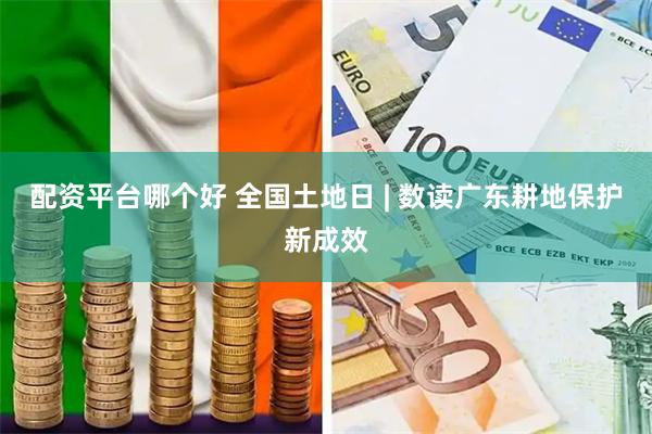 配资平台哪个好 全国土地日 | 数读广东耕地保护新成效
