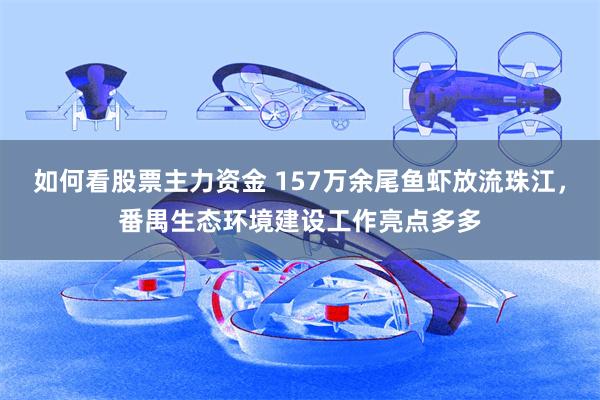 如何看股票主力资金 157万余尾鱼虾放流珠江，番禺生态环境建设工作亮点多多