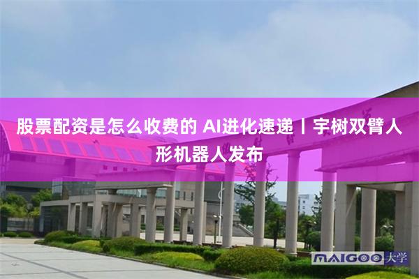 股票配资是怎么收费的 AI进化速递丨宇树双臂人形机器人发布
