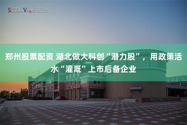 郑州股票配资 湖北做大科创“潜力股”，用政策活水“灌溉”上市后备企业