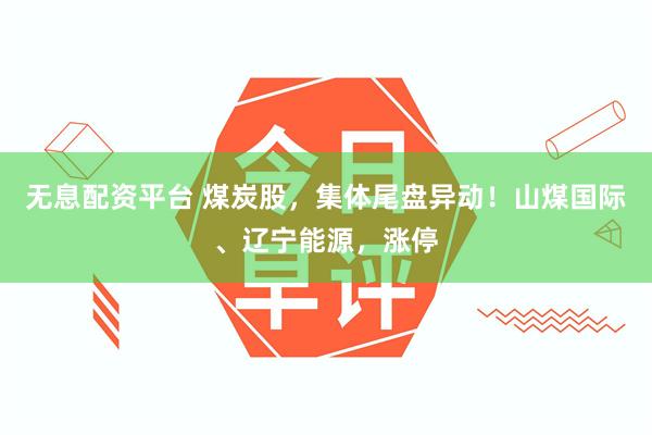 无息配资平台 煤炭股，集体尾盘异动！山煤国际、辽宁能源，涨停