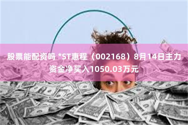 股票能配资吗 *ST惠程（002168）8月14日主力资金净买入1050.03万元