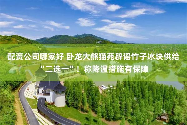配资公司哪家好 卧龙大熊猫苑辟谣竹子冰块供给“二选一”！称降温措施有保障