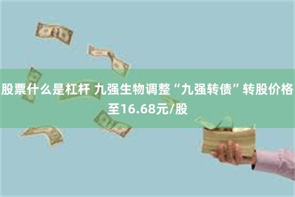 股票什么是杠杆 九强生物调整“九强转债”转股价格至16.68元/股