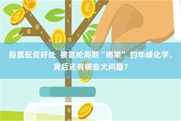 股票配资好处  被氨纶周期“绑架” 的华峰化学，背后还有哪些大问题？