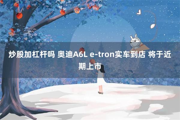 炒股加杠杆吗 奥迪A6L e-tron实车到店 将于近期上市