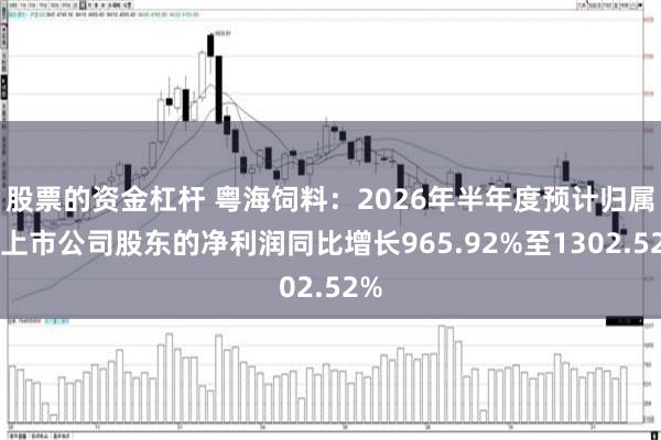 股票的资金杠杆 粤海饲料：2026年半年度预计归属于上市公司股东的净利润同比增长965.92%至1302.52%