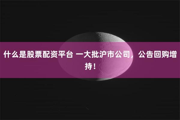 什么是股票配资平台 一大批沪市公司,公告回购增持!