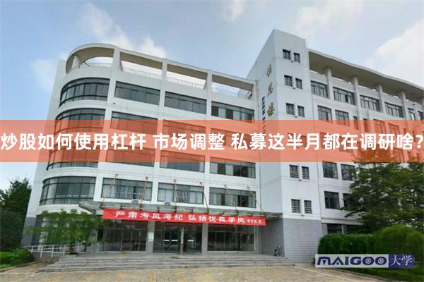 炒股如何使用杠杆 市场调整 私募这半月都在调研啥?