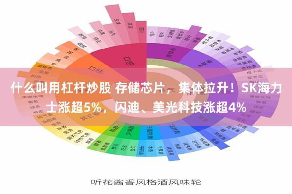什么叫用杠杆炒股 存储芯片,集体拉升!SK海力士涨超5%,闪迪、美光科技涨超4%