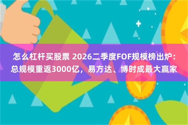 怎么杠杆买股票 2026二季度FOF规模榜出炉：总规模重返3000亿，易方达、博时成最大赢家