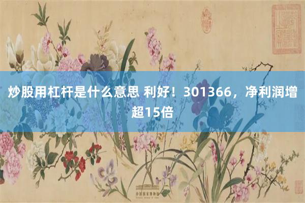 炒股用杠杆是什么意思 利好！301366，净利润增超15倍