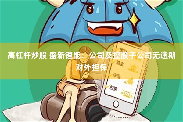高杠杆炒股 盛新锂能：公司及控股子公司无逾期对外担保