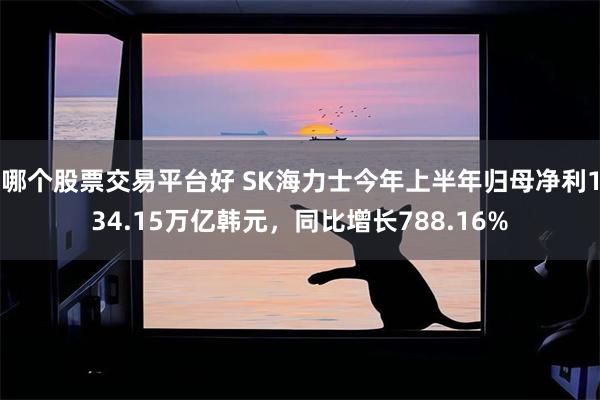 哪个股票交易平台好 SK海力士今年上半年归母净利134.15万亿韩元，同比增长788.16%