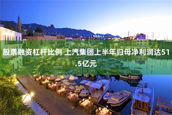 股票融资杠杆比例 上汽集团上半年归母净利润达51.5亿元