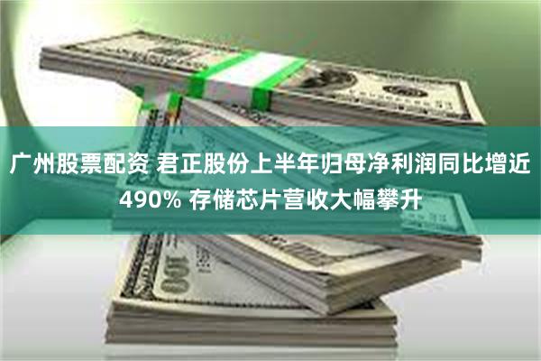 广州股票配资 君正股份上半年归母净利润同比增近490% 存储芯片营收大幅攀升