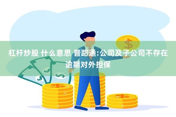 杠杆炒股 什么意思 普路通:公司及子公司不存在逾期对外担保